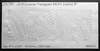 ibicci JS Polynesian Frangipani 4" MESH stencil